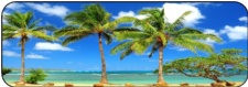 the cancun shul.jpg